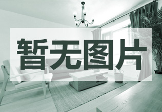 刘先生装修效果图